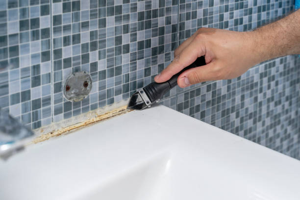 Best Fast Mold Removal  in High Ridge, MO